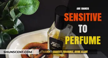 Snakes and Scents: Are They Compatible?
