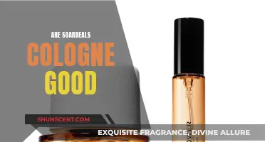 The Best Affordable Colognes: Are Soardeals Scents Worth It?