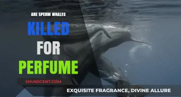 The Dark Truth of Perfume: Sperm Whales Slaughtered