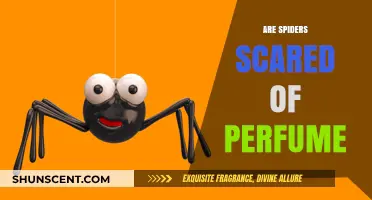 Spiders and Scents: Do Spiders Fear Perfume?