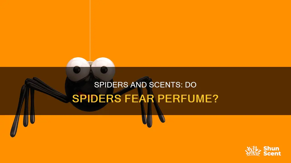 are spiders scared of perfume