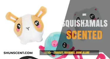 Do Squishamals Have Scents? Unveiling the Aromatic Mystery of These Squishy Toys