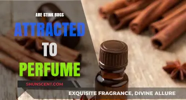 Stink Bugs and Perfume: A Fragrant Attraction?