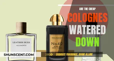 Colognes: Cheap Scents, Watered Down or Just Right?