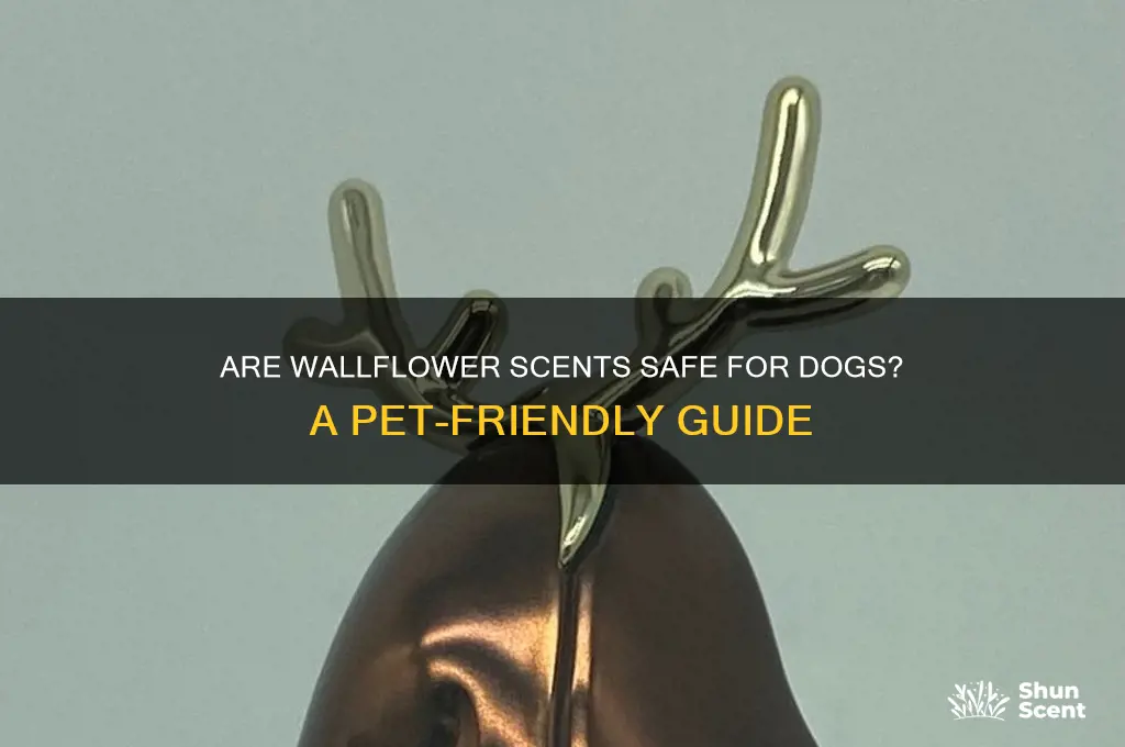 are the wallflower scents ok for dogs