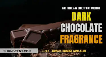 How Dark Chocolate Fragrance Benefits Your Health