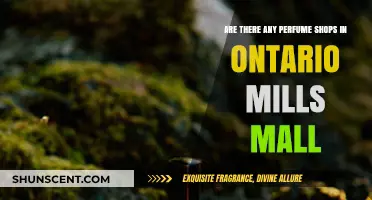 Explore Ontario Mills Mall for the Best Perfumes