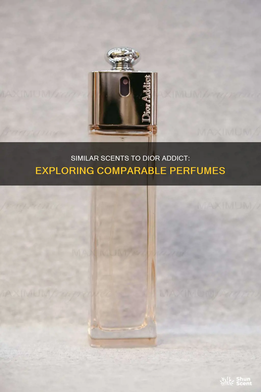 are there any perfumes comparable to dior addict