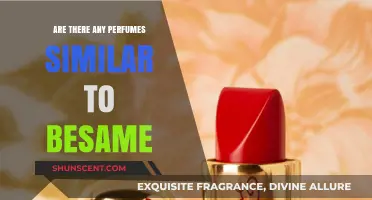Explore the Scents: Besame Perfume Alternatives
