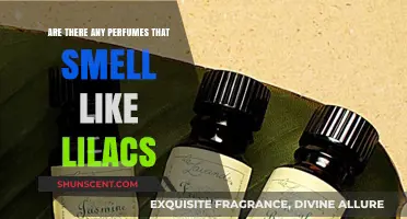 The Best Lilac Fragrances for Women