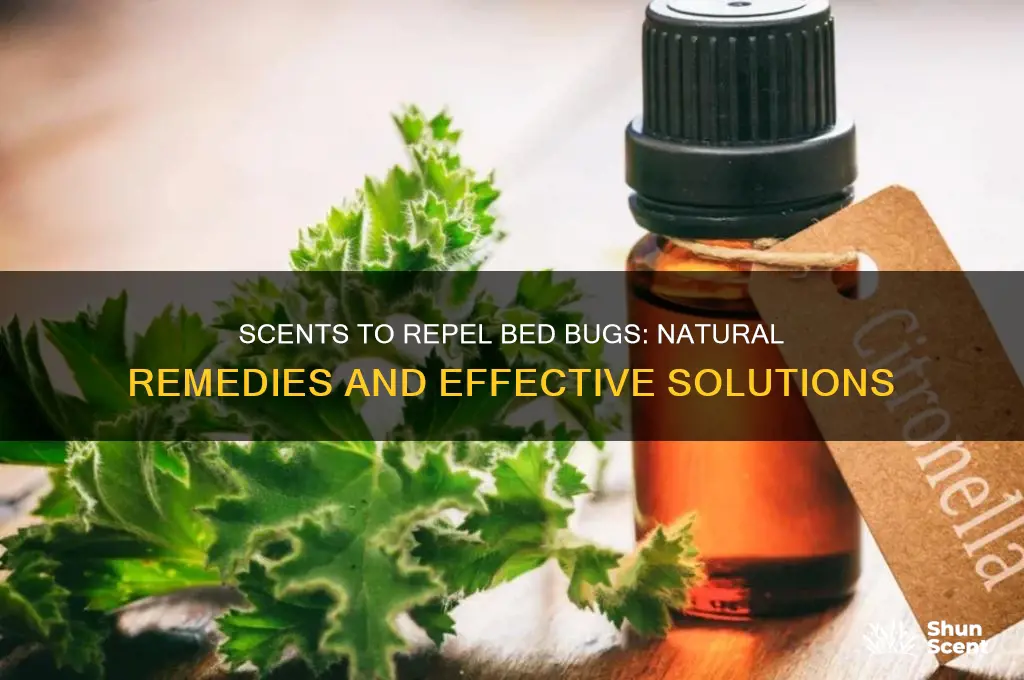 are there any scents that repel bed bugs
