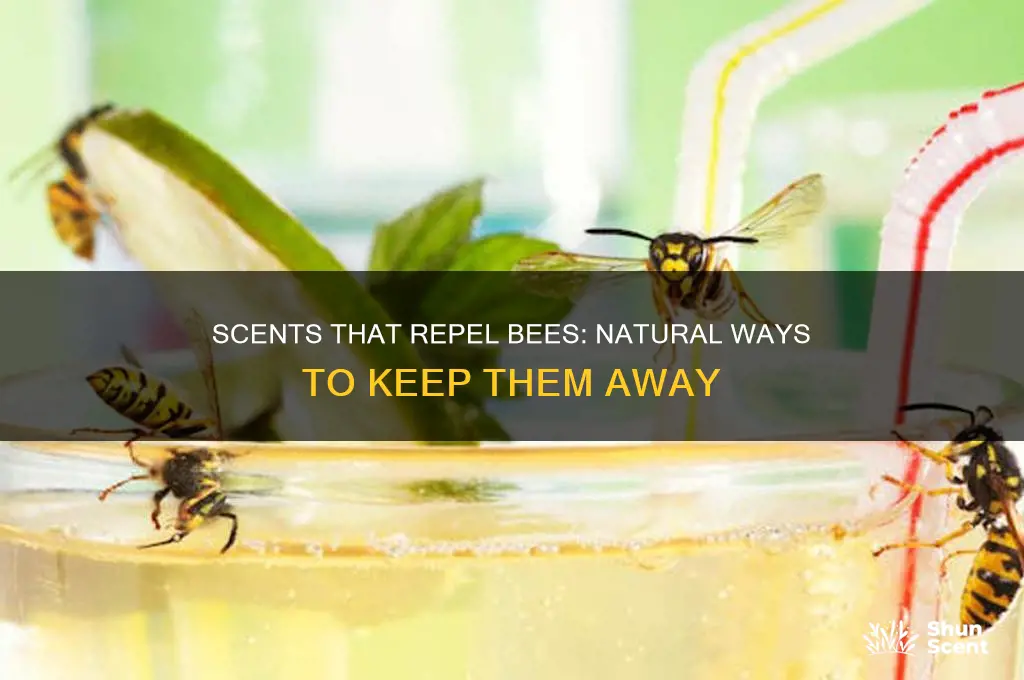 are there any scents that repel bees