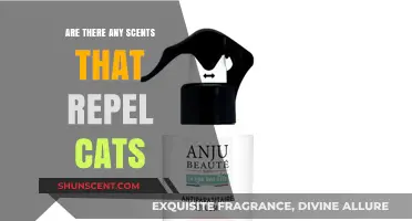 Scents That Keep Cats Away: Effective Aromas to Deter Felines