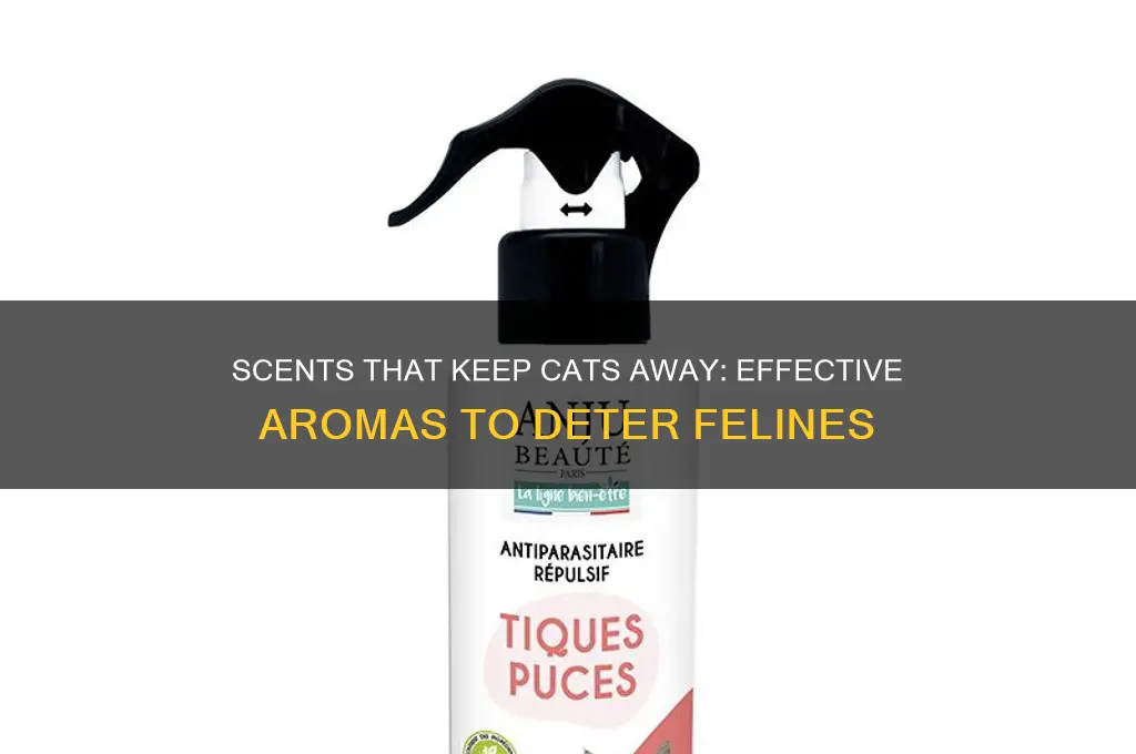 are there any scents that repel cats