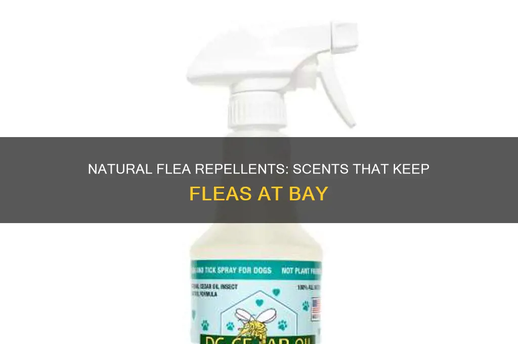 are there any scents that repel fleas