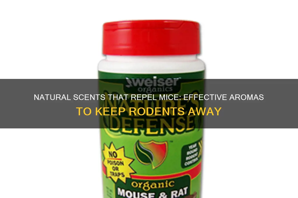 are there any scents that repel mice