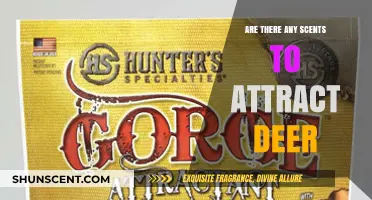 Scents to Attract Deer: Enhancing Your Hunting Strategy with Aromas