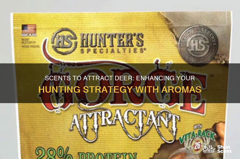 are there any scents to attract deer