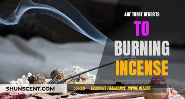 Incense Burning: Ancient Ritual, Modern Benefits?