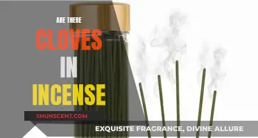 Incense and Cloves: Exploring Their Connection