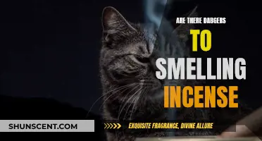 Incense: Aromatic but Potentially Harmful?
