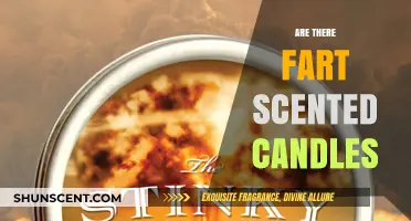Do Fart-Scented Candles Exist? Unveiling the Truth Behind the Trend