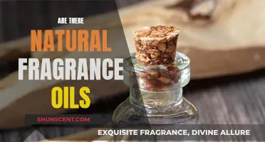 Natural Fragrance Oils: Nature's Aromatic Powerhouses