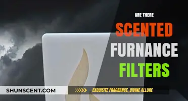 Discover Scented Furnace Filters: Enhance Air Quality with Aromatic Options