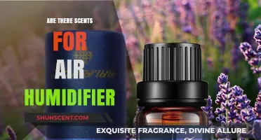Enhance Your Space: Exploring Aromatic Scents for Air Humidifiers