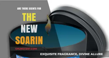 New Soarin' Scents: Aromatic Additions to the Iconic Disney Ride