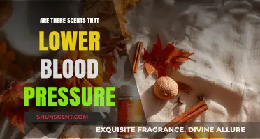 Scents to Calm: Aromas That May Lower Blood Pressure Naturally