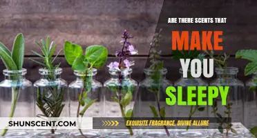 Scents That Soothe: Aromas to Induce Sleep and Relaxation
