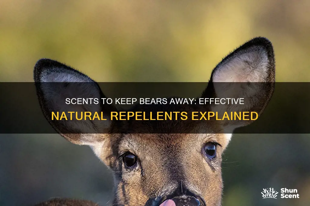 are there scents that repel bears
