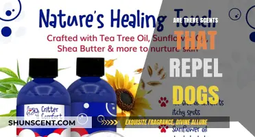 Scents That Repel Dogs: Effective Aromas to Keep Canines Away