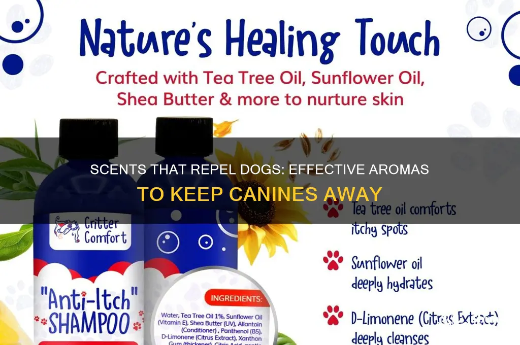 are there scents that repel dogs