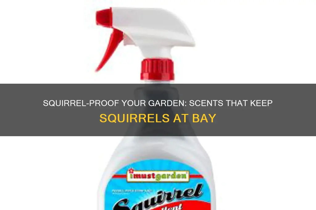 are there scents that squirrels hate