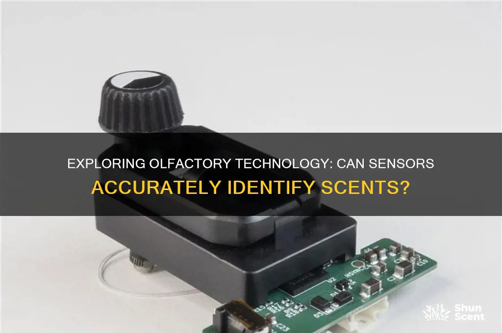 are there sensors that can identify scents
