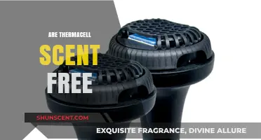Are ThermaCell Products Scent-Free? A Comprehensive Review and Guide