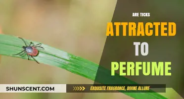 How Perfume Attracts Ticks: What You Need to Know