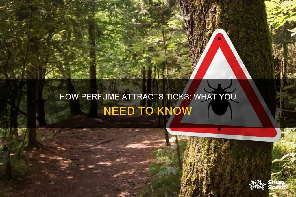 are ticks attracted to perfume