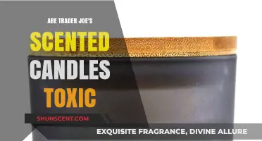 Are Trader Joe's Scented Candles Toxic? A Safety Review