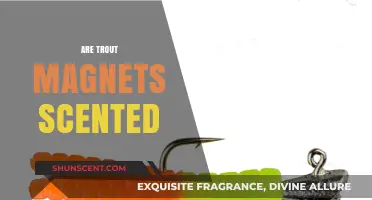 Are Trout Magnets Scented? Unveiling the Truth Behind the Lure