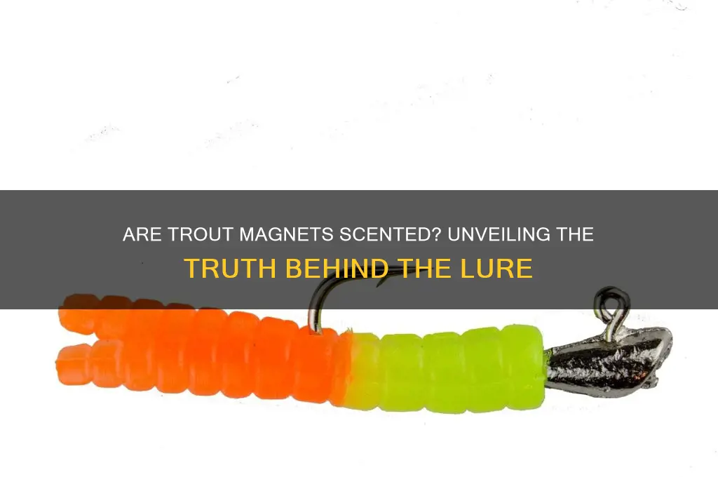 are trout magnets scented