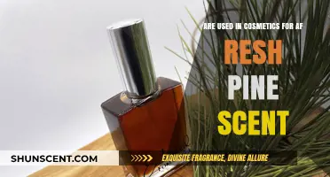Pine-Fresh Cosmetics: Exploring Natural Scents in Skincare and Beauty Products