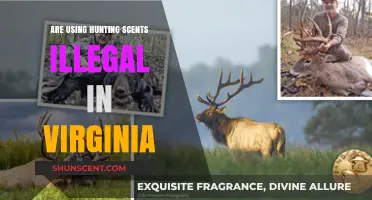 Are Hunting Scents Legal in Virginia? Understanding the Regulations