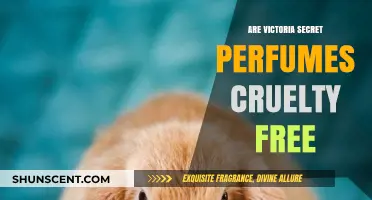 Victoria's Secret: Cruelty-Free or Not?
