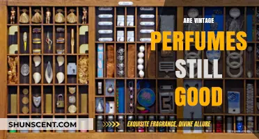 Vintage Perfumes: Still Worth It?