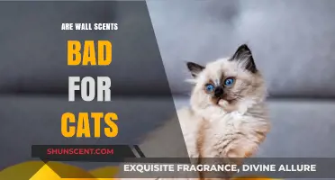 Are Wall Scents Safe for Cats? Potential Risks Explained