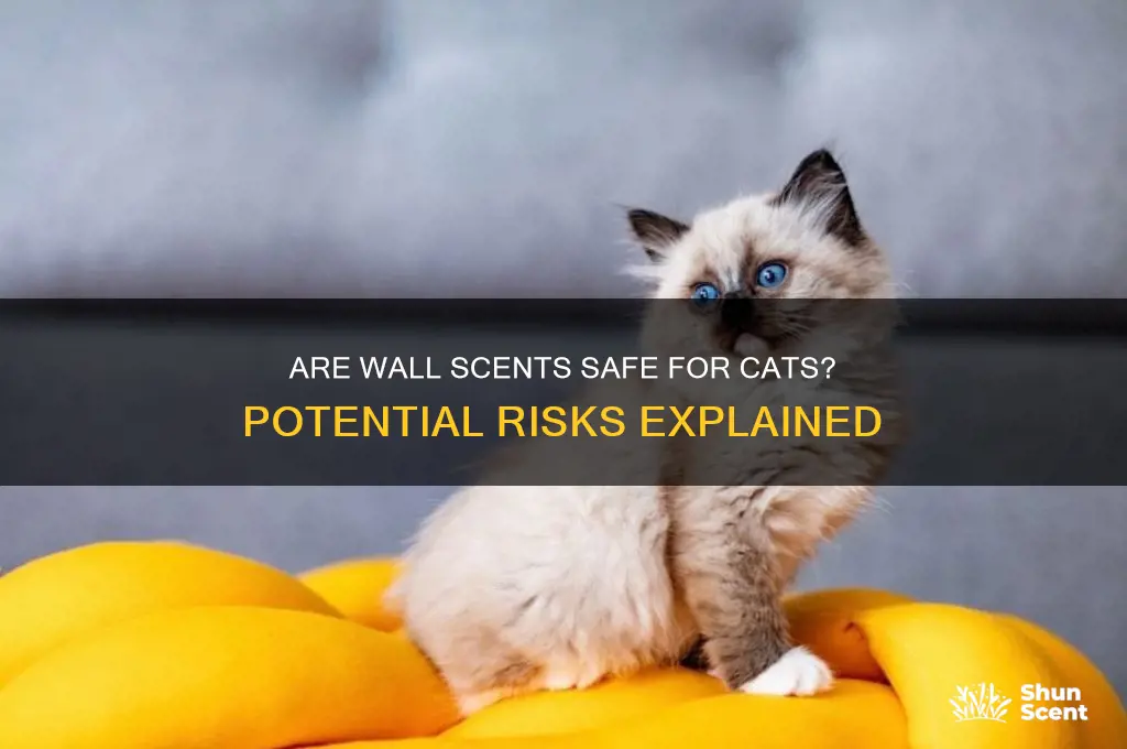 are wall scents bad for cats