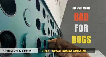 Are Wall Scents Safe for Dogs? Potential Risks Explained
